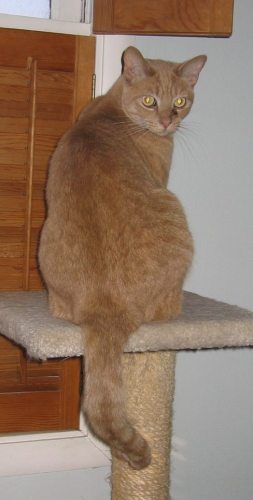 I dare you to touch that!