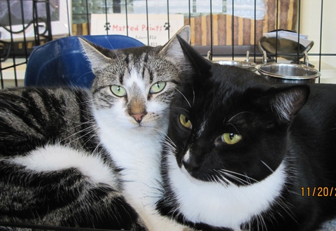Psst. Look at the camera not the TV!