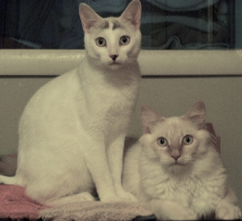 Our official family portrait!