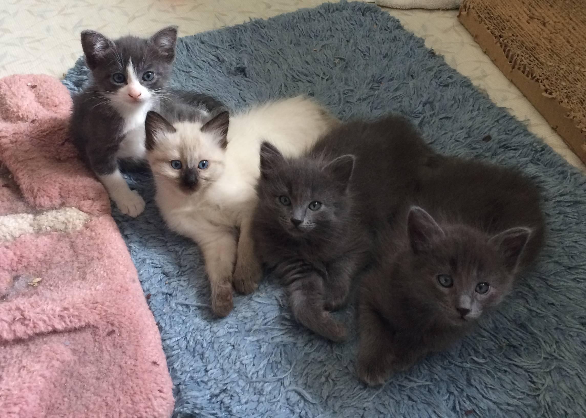 Winnipeg+%28Winna%29 - Click for a larger photo