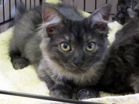 Ashley and Cinder