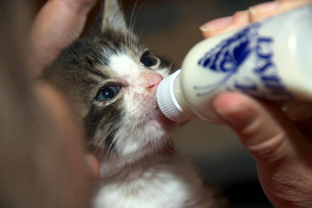 Abner's baby picture!