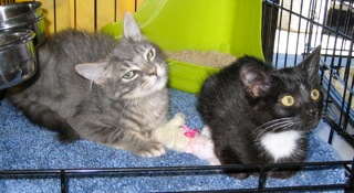 Baby Picture - Best Friends Issabella and Nadia