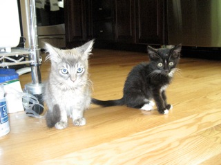 Baby Picture - Best Friends Issabella and Nadia
